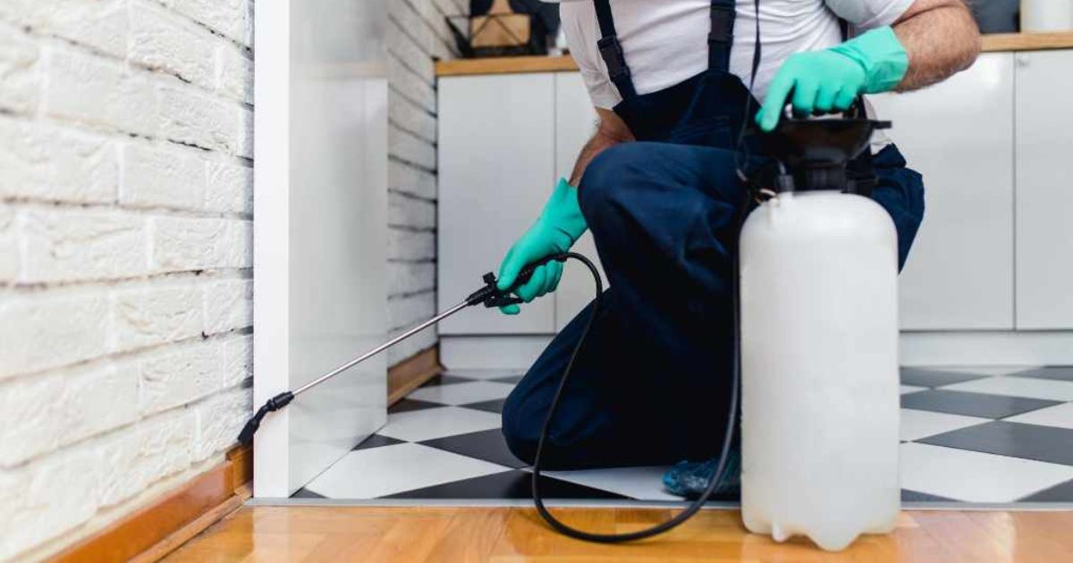 Luxury Home Pest Proofing Los Angeles: Elite Protection for High-End Properties